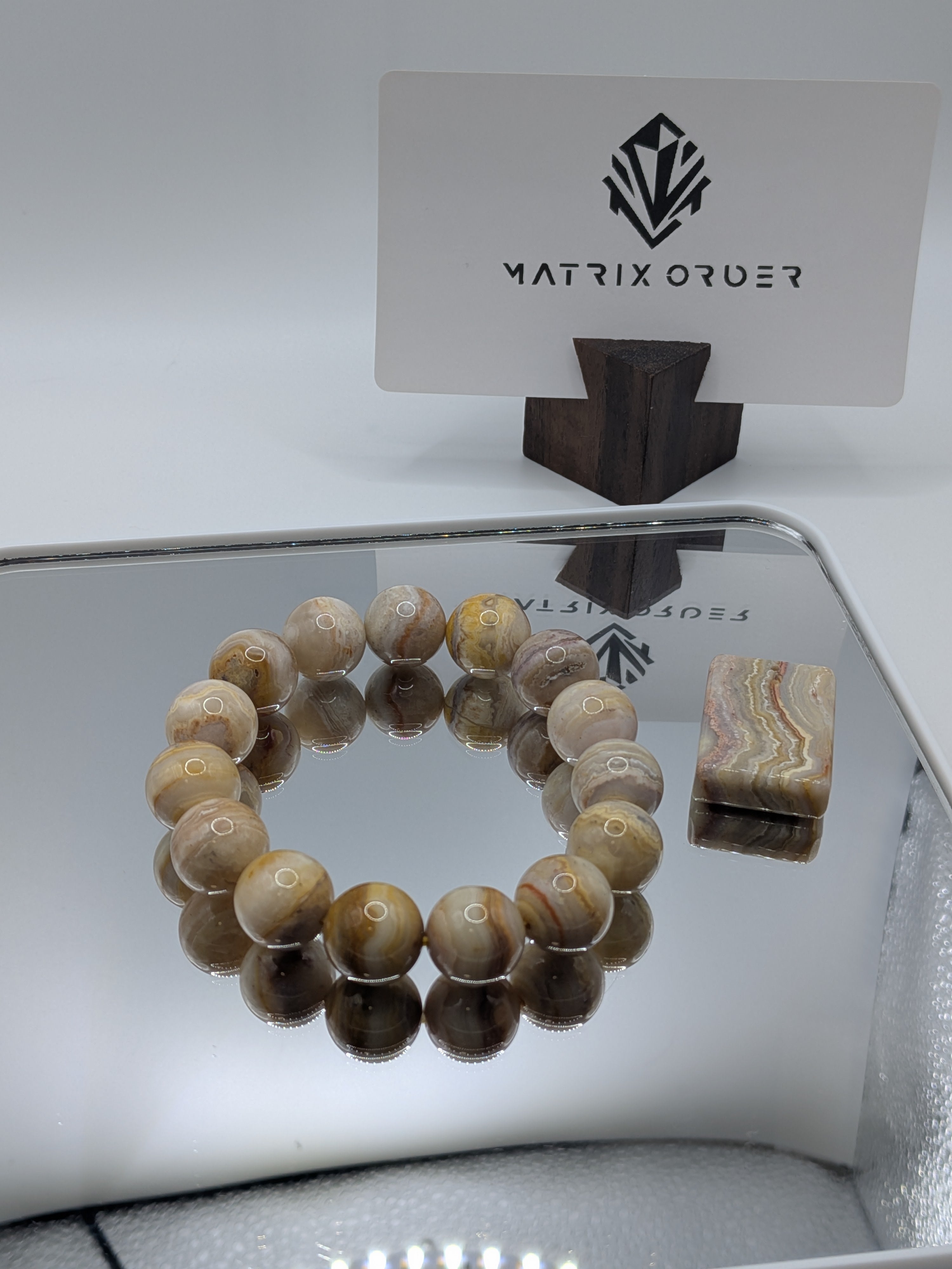 Fossil Coral Bracelet & Matching Pendant Set
