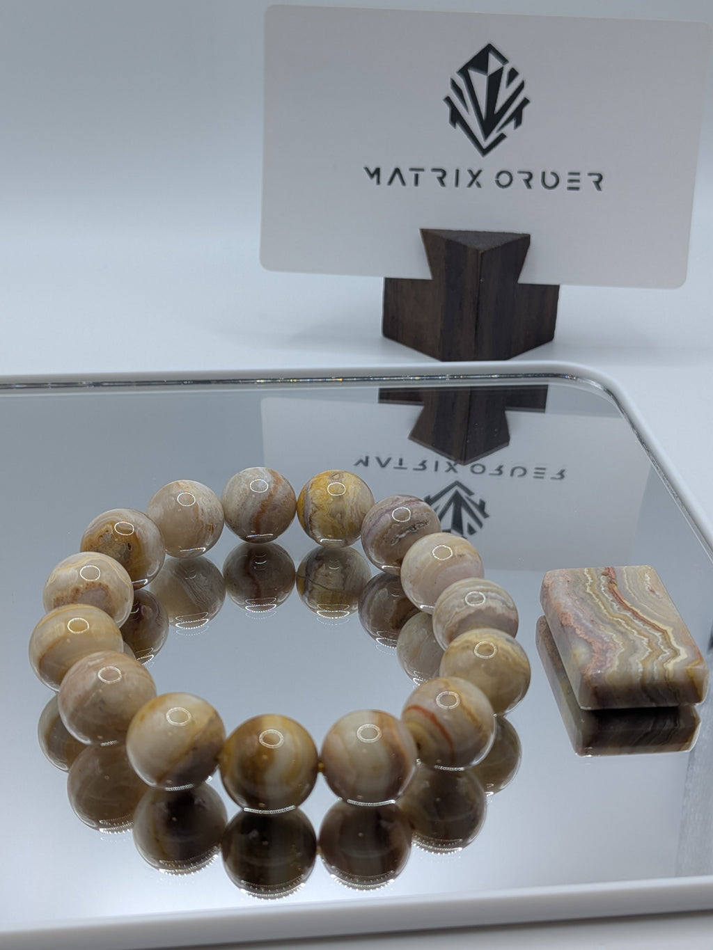 Fossil Coral Bracelet & Matching Pendant Set