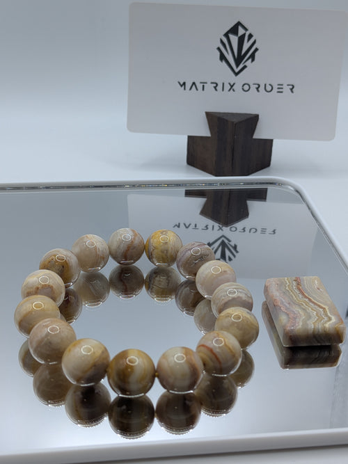 Fossil Coral Bracelet & Matching Pendant Set